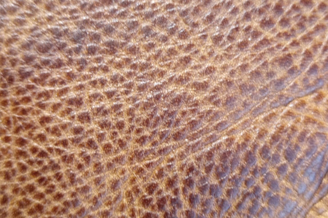 cuoio 1