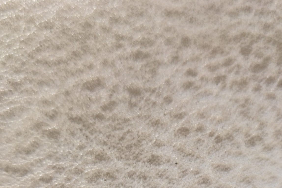 mastice